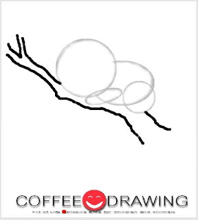 coffeedrawing how to draw koala step 05