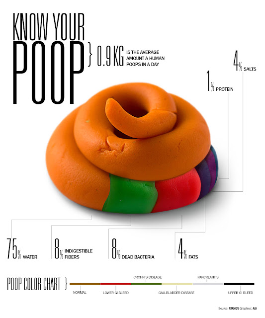 infographics Know your Poop Human Poop