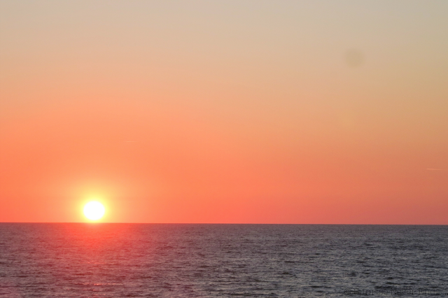 la gravière,hossegor,sunset beach,sunset,plage,bar,cabane de plage,beach shack