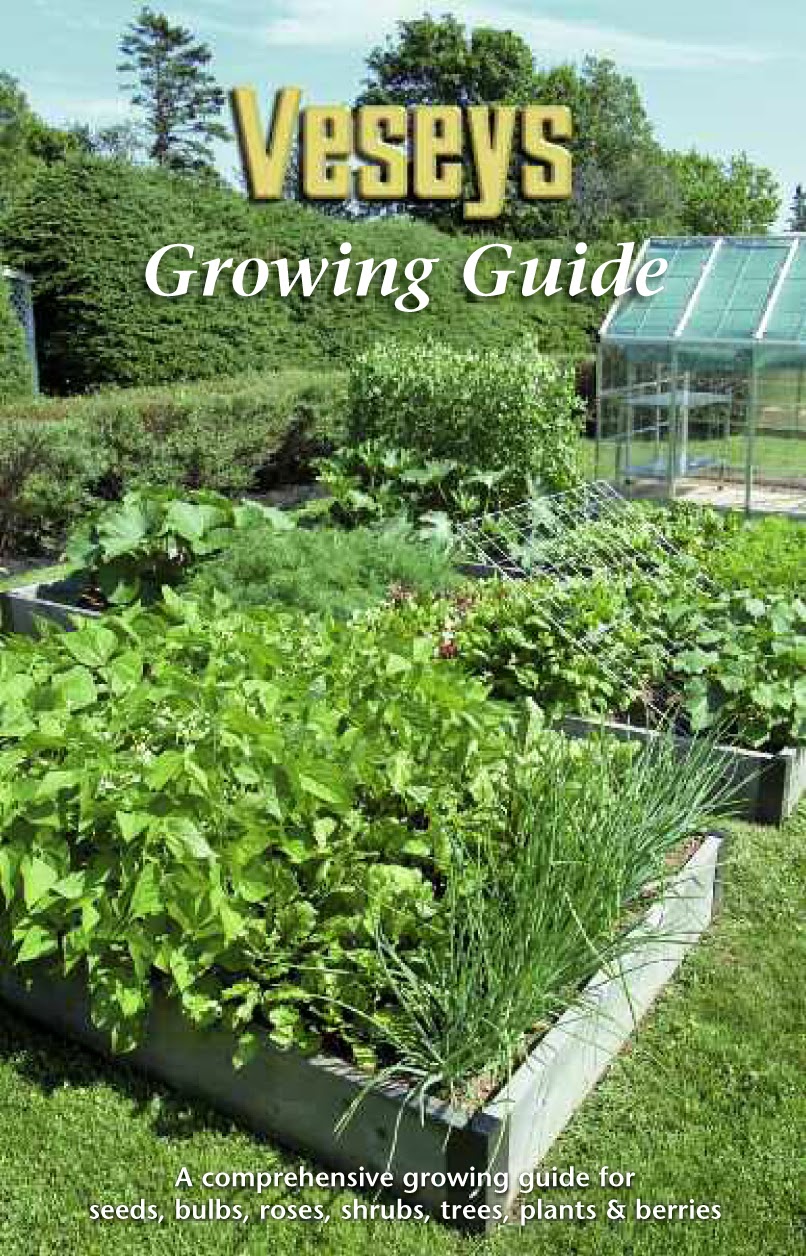 Veseys Seeds Blog Veseys Growing Guide