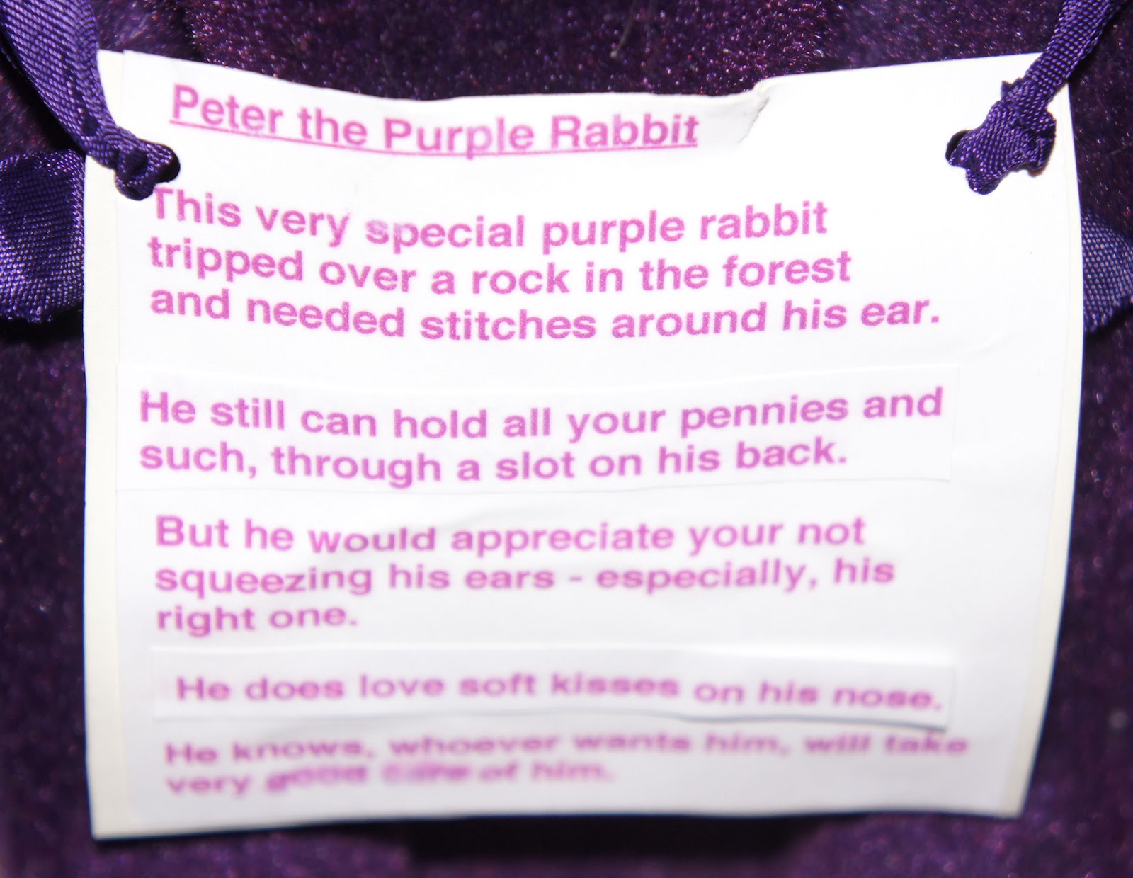 The Zen of Bun The Story of Peter the Purple Rabbit