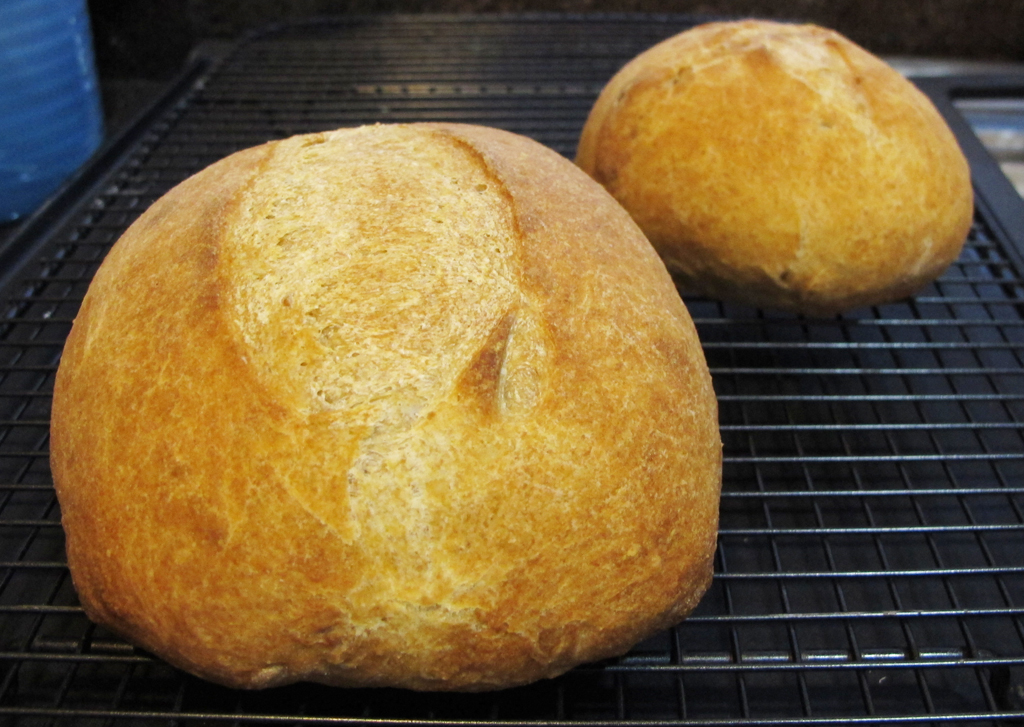 World's Longest Bread Rant