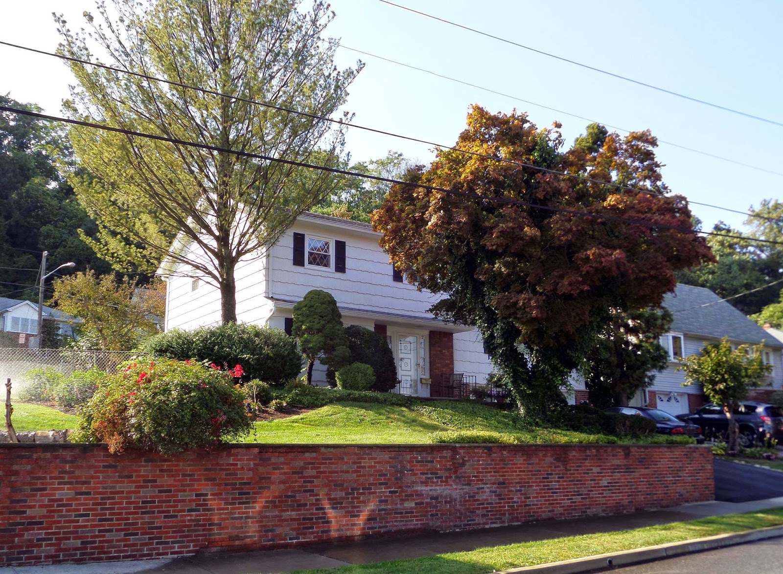 2 Live Freely PhotooftheWeek 180 My 6th and Final Home in