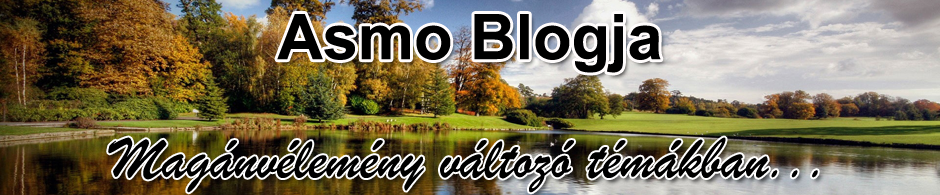Asmo Blog
