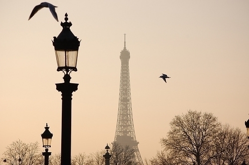 Paris Paris+tumblr_ljxa6uKvE81qfvutko1_500_large