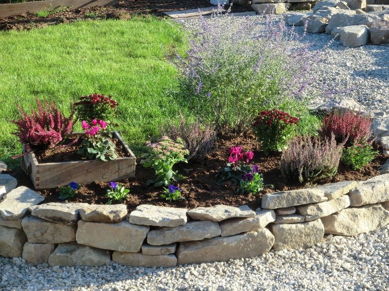 DoMis Garten Herbstbepflanzung