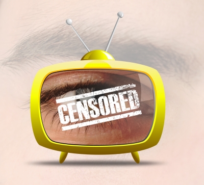IMPACT OF THE MEDIA AND INTERNET ON MODERN YOUTH essay preview