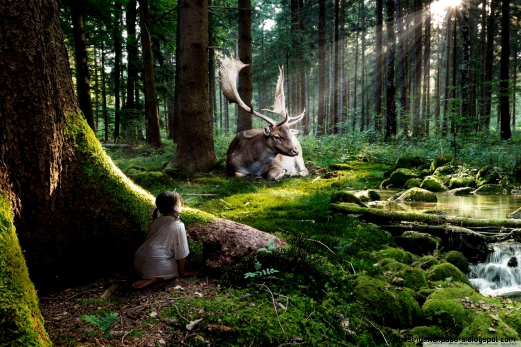 Fairytale Forest Insects City 7025082 Fairytale Forest Insects City 7025082