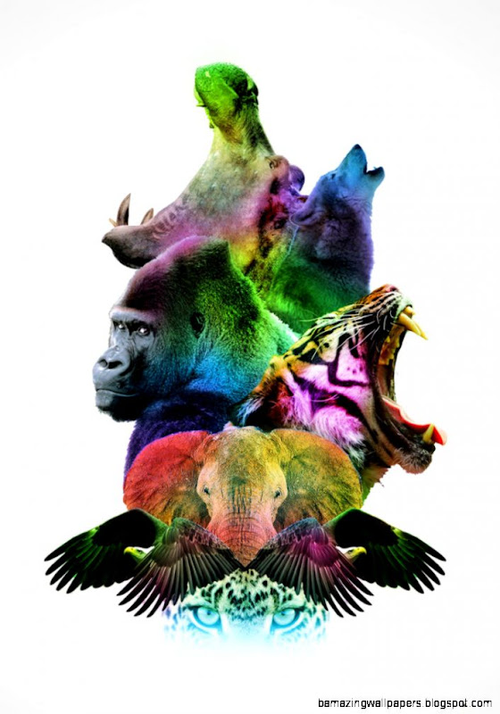 Wildlife Collage by LiFeShorT SuntiT on DeviantArt Wildlife Collage by LiFeShorT SuntiT on DeviantArt