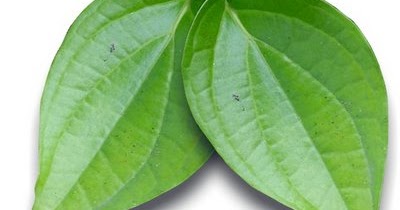 Efek Samping Daun Sirih