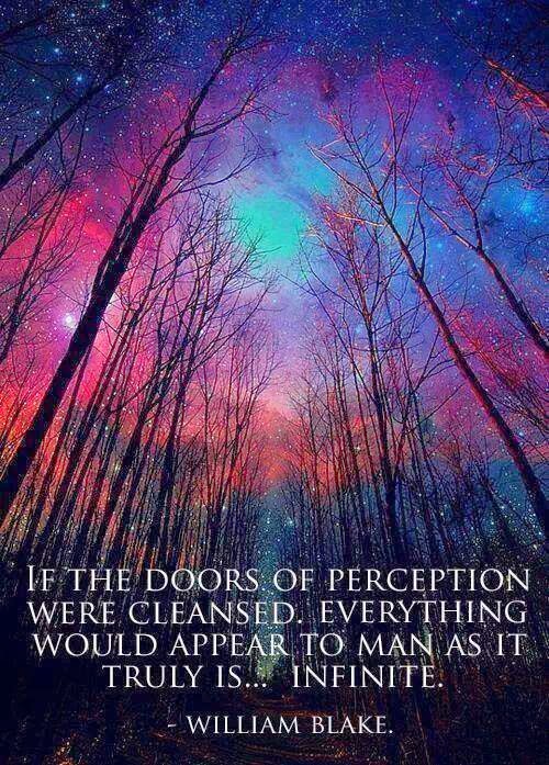 If The Doors Of Perception Were Cleansed Everything Would Appear