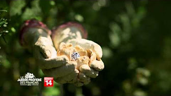 Emission de Stéphane Bern "Le jardin préféré des Français" de septembre 2014