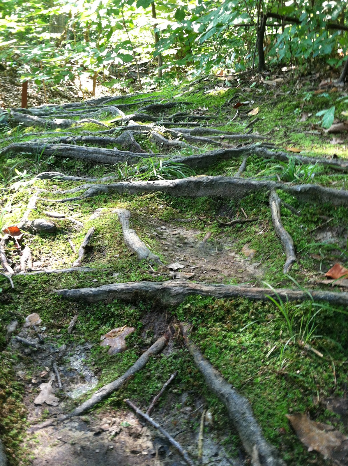 D A M N Gynr Our Family Hiking Biking Etc Blog Elk Neck