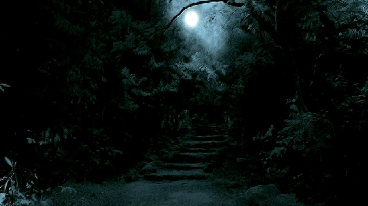 FULL MOON IN A DARK FOREST WALLPAPER 36679 HD Wallpapers FULL MOON IN A DARK FOREST WALLPAPER 36679 HD Wallpapers