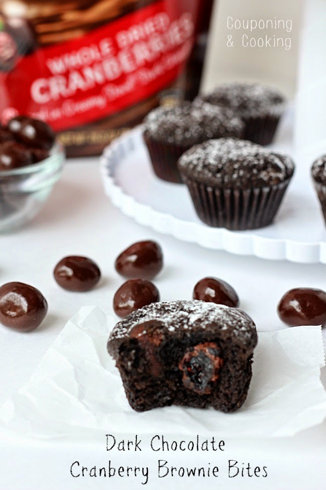 Tobins' Tastes Dark Chocolate Cranberry Brownie Bites {Dove Chocolate