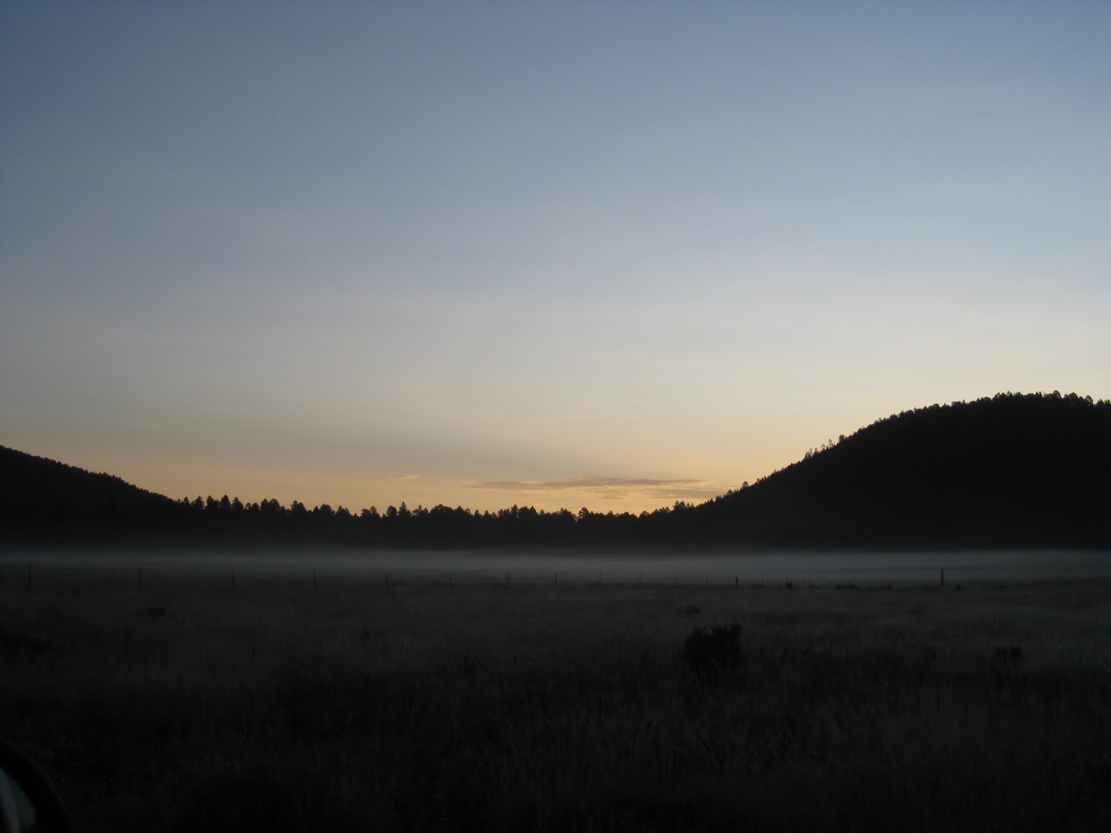 Cogs And Dogs Barn Burner