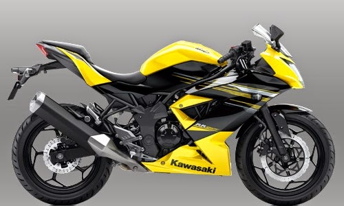 Kawasaki Ninja RR Mono Kawasaki Ninja RR Mono