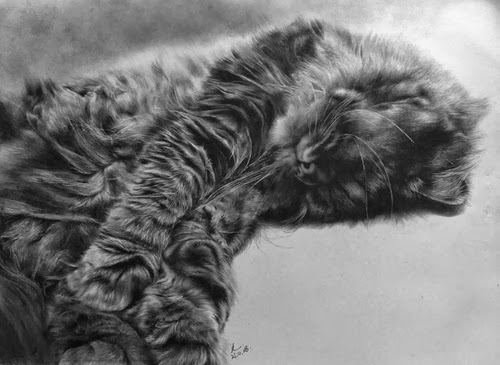 21-Hyper-realistic-Cats-Pencil-Drawings-Hong-Kong-Artist-Paul-Lung-aka-paullung-www-designstack-co