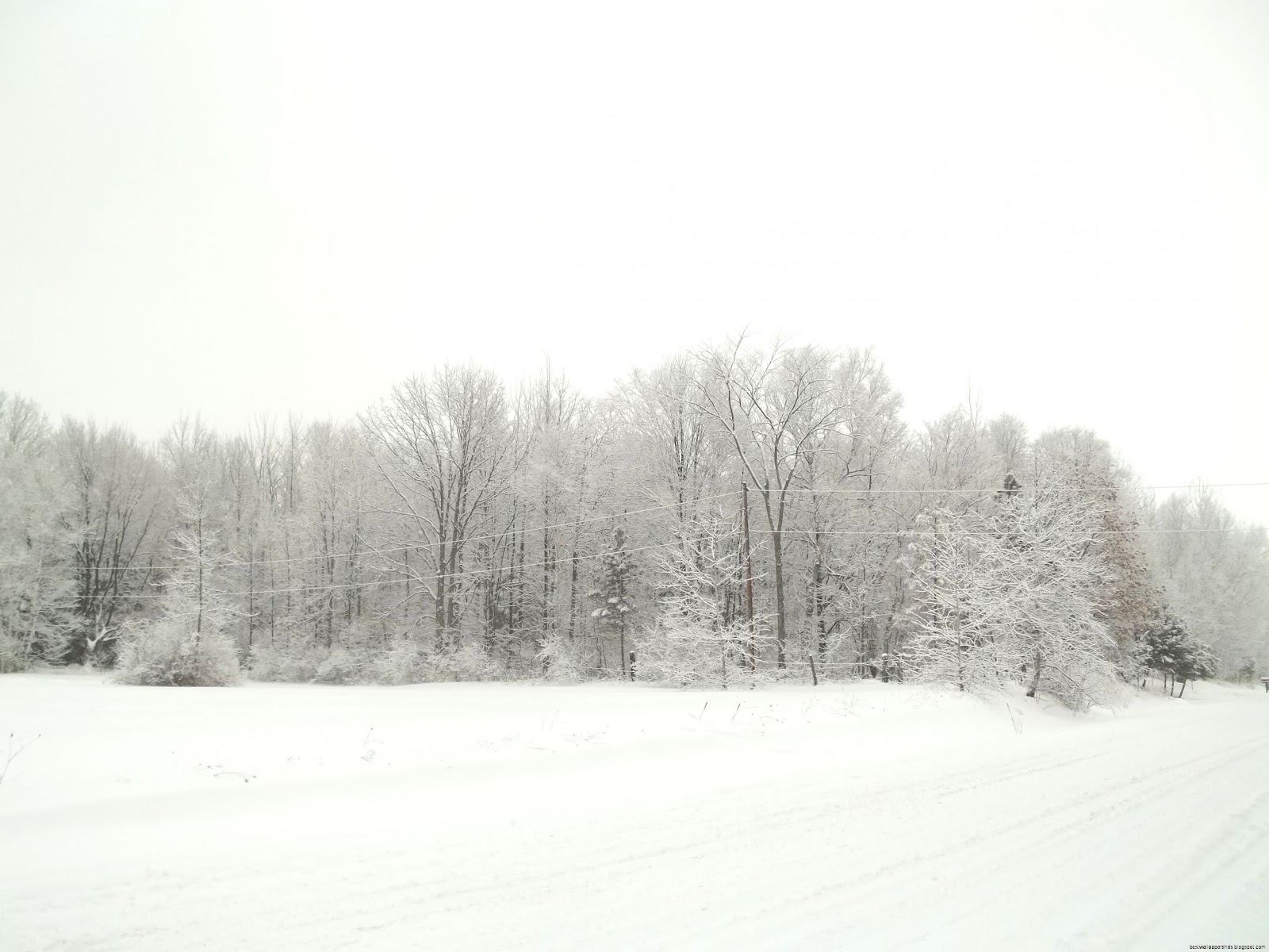 Winter bliss wallpaper Winter bliss wallpaper