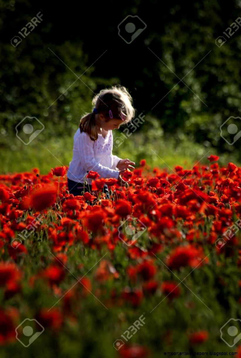 Small Cute Girl On A Red Poppy Field Stock Photo Picture And Small Cute Girl On A Red Poppy Field Stock Photo Picture And