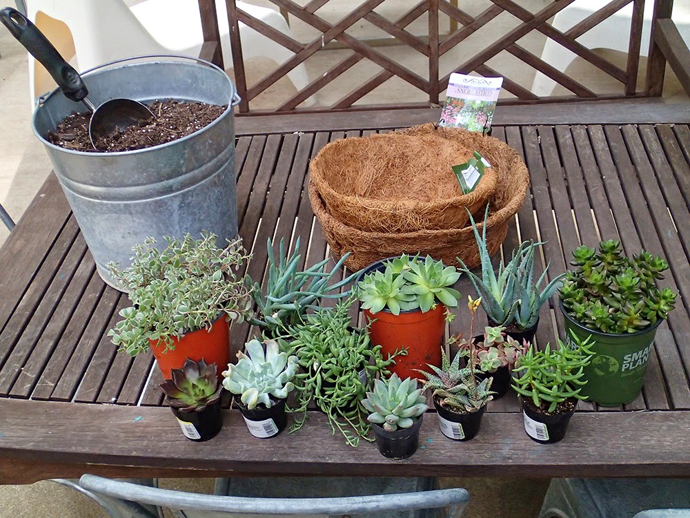 Carrie Fitzwater Designs Blog Vintage hanging basket for succulents
