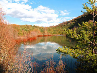 RIO OMAÑA VALDESAMARIO