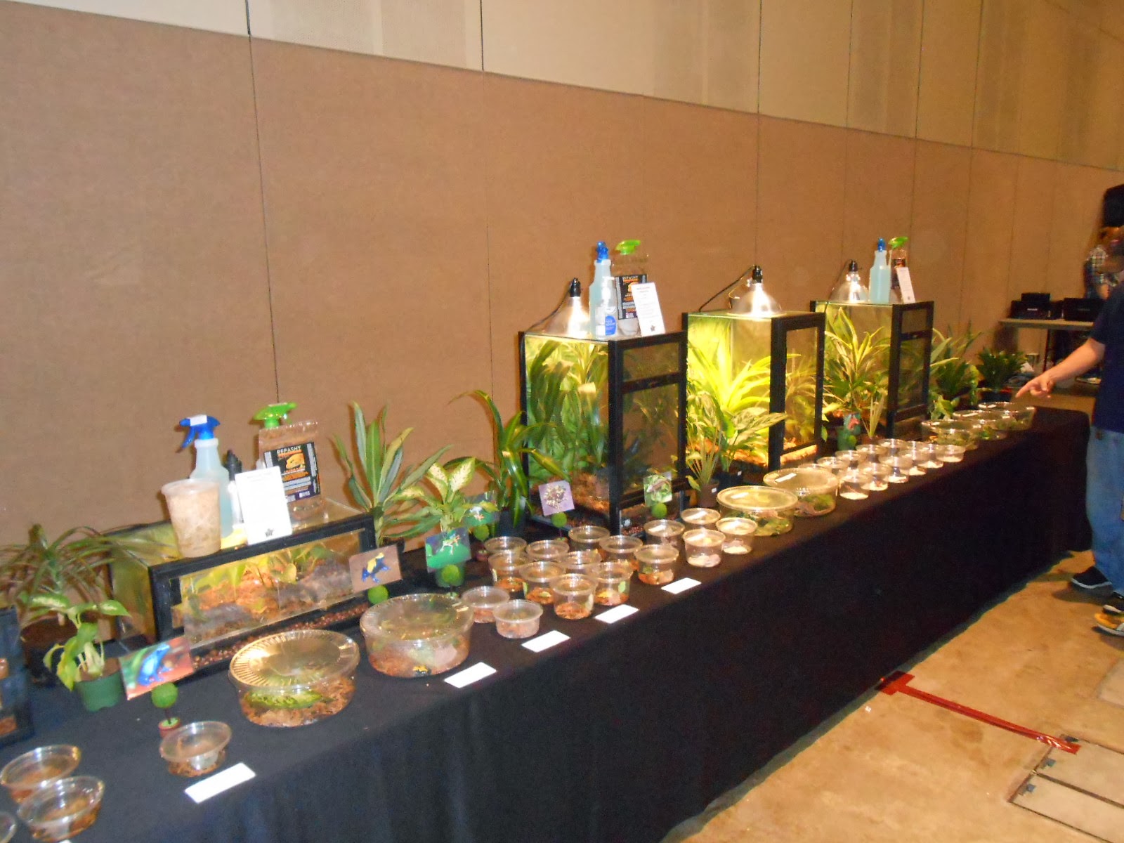 Evan Stahl Reptiles Awesome Reptile Show in Lansing Michigan Sunday