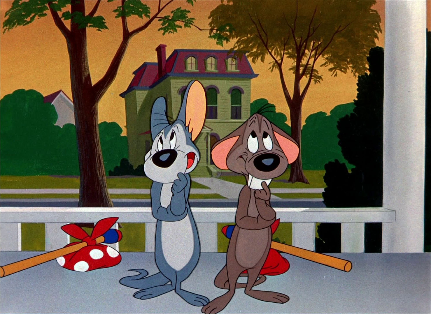 mouse house trap mouse house trap