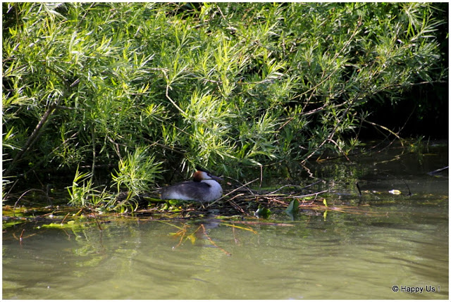 Marais audomarois