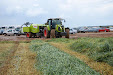 Demoagro