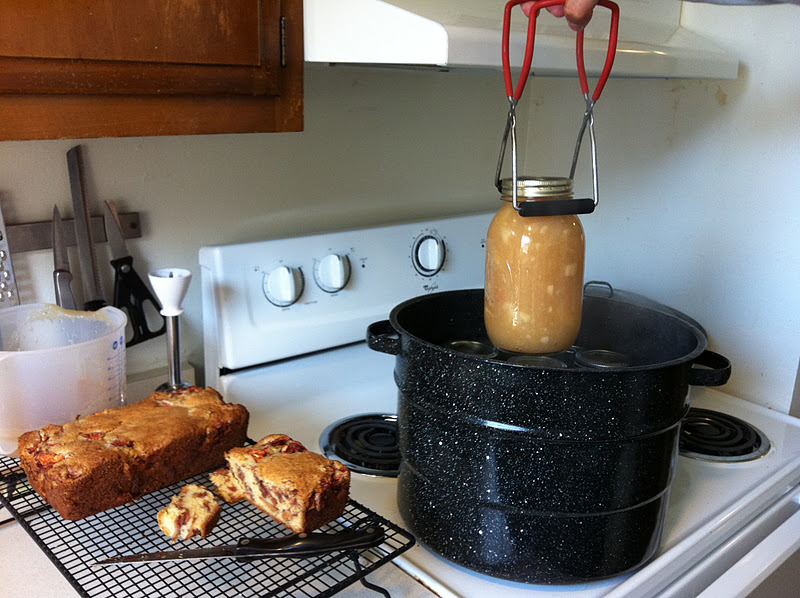 Safely Gathered In How To Make and Can Homemade Applesauce