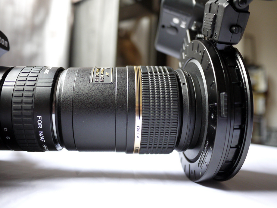 Within the Chronicles' Frame Nikon R1 Macro Flash System