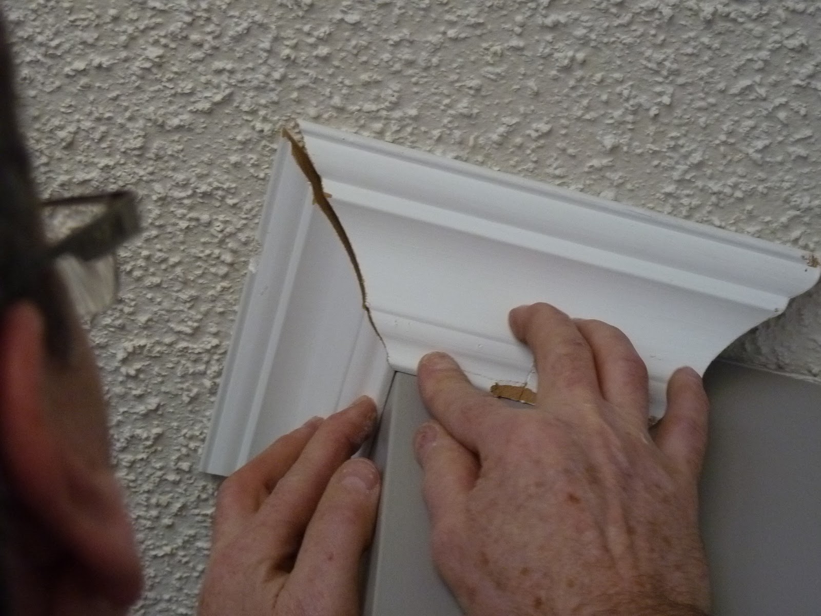 d i y d e s i g n Cutting and Installing Crown Molding