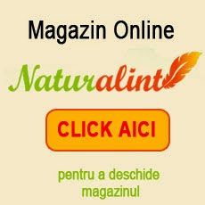Magazin Online