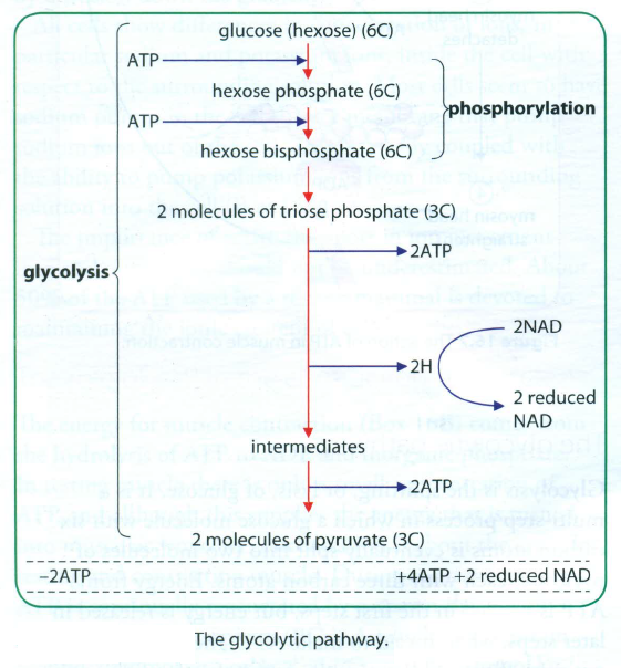 biology essays aqa Dissertation conseil constitutionnel plan aqa biology synoptic essay help research paper writer services will writing service online. biology essays aqa Dissertation conseil constitutionnel plan aqa biology synoptic essay help research paper writer services will writing service online.