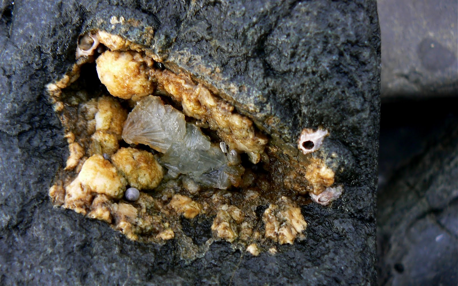 Are Crystals Minerals