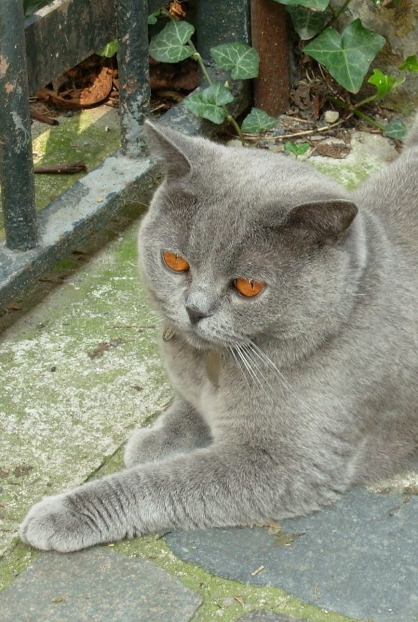 rencontre parisiennes