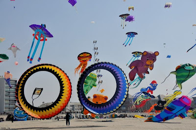 Festival du vent 730edbc4d87b9cdf75dc3bd6f0130e48_large