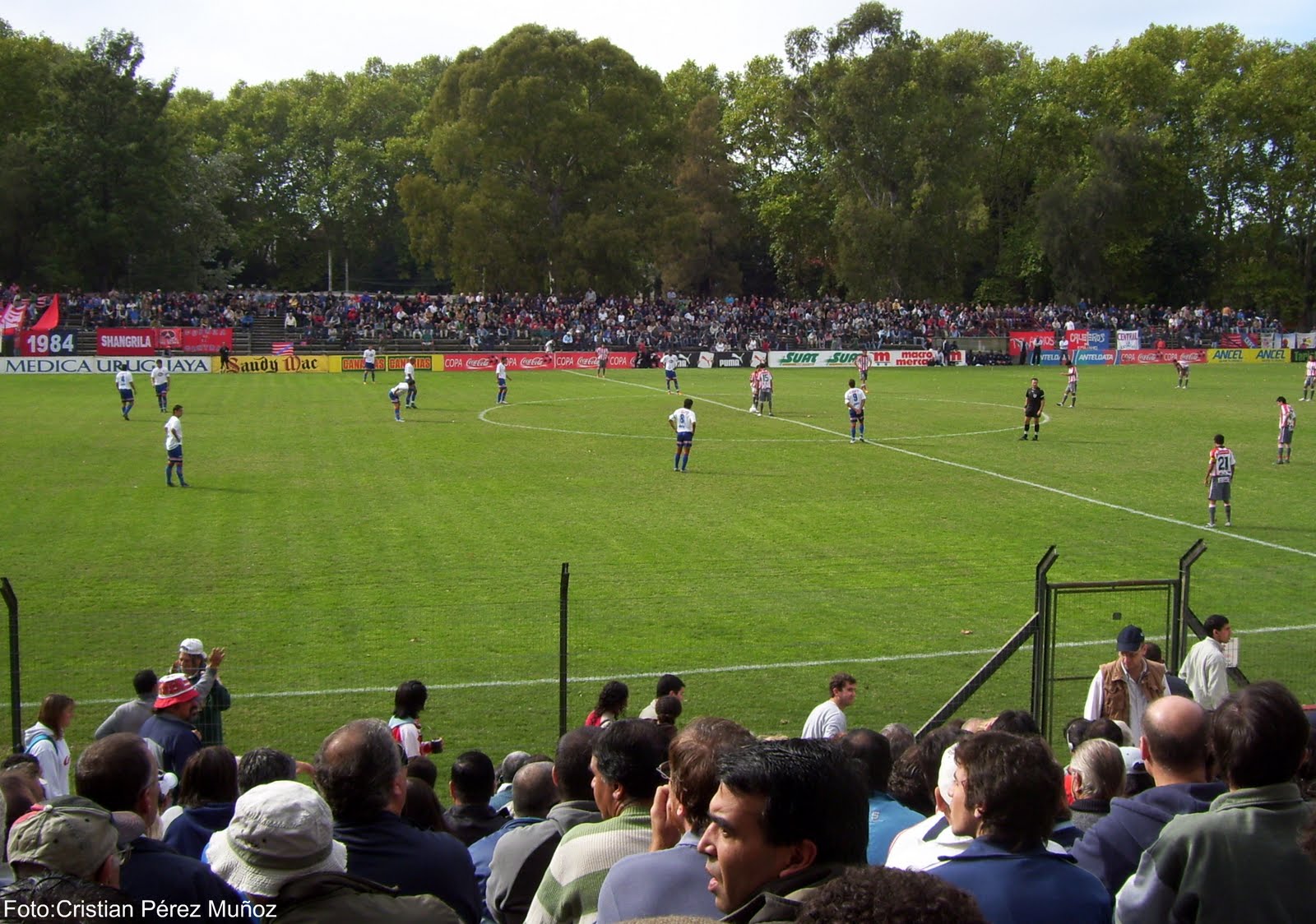 Cuando la pelota es más que un juego de niños: solo un 1% llega a primera  división - EL PAÍS Uruguay