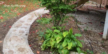 Gentle Joy Homemaker: Making A Flagstone Path