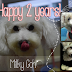 Milky our little Ambassador celebrates her TWO years anniversary today!