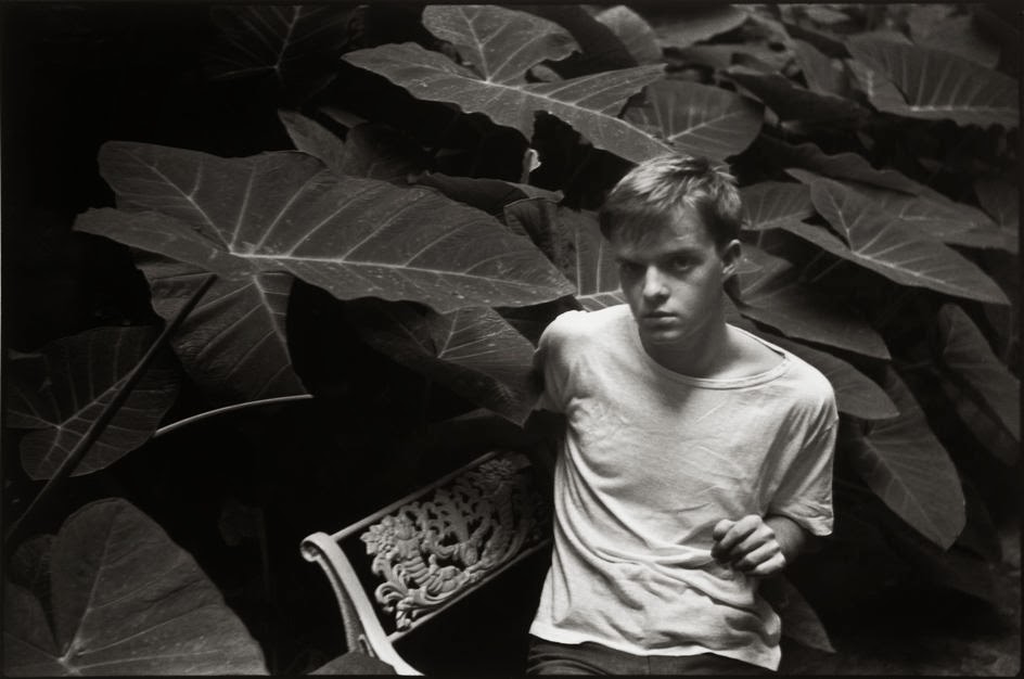 harold halma photo of truman capote harold halma photo of truman capote