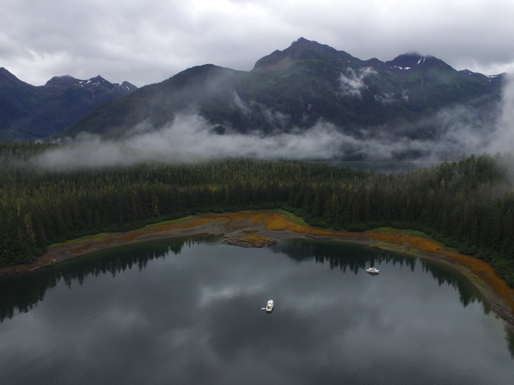 Safe Harbour Alaska 2016 Day 71 Sawmill Bay
