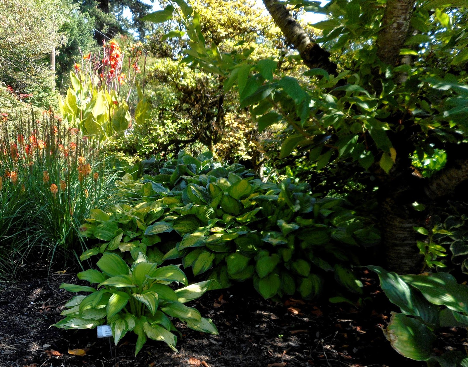 Gardening With Grace Garden Tour Sebright Gardens