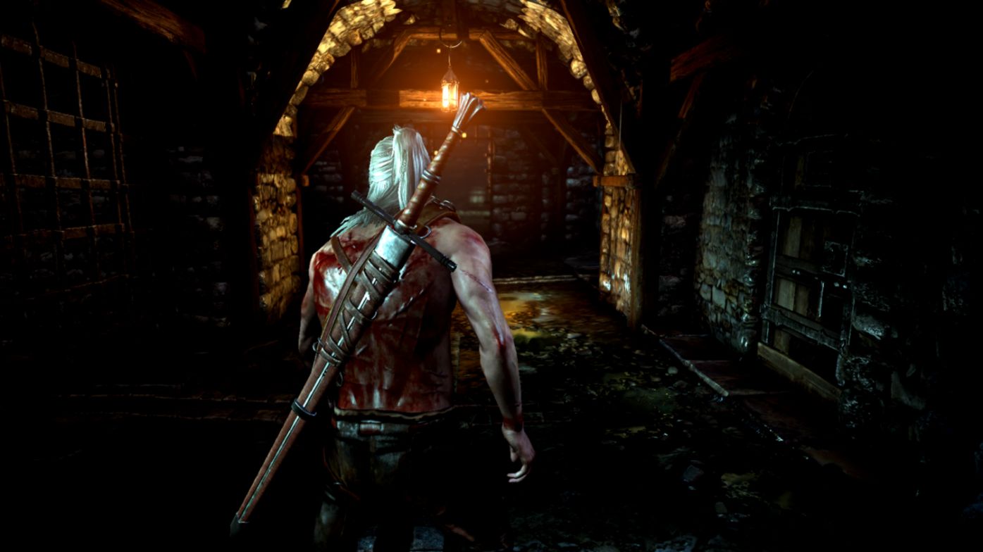 The Witcher 2 Assassins of Kings GeForce The Witcher 2 Assassins of Kings GeForce