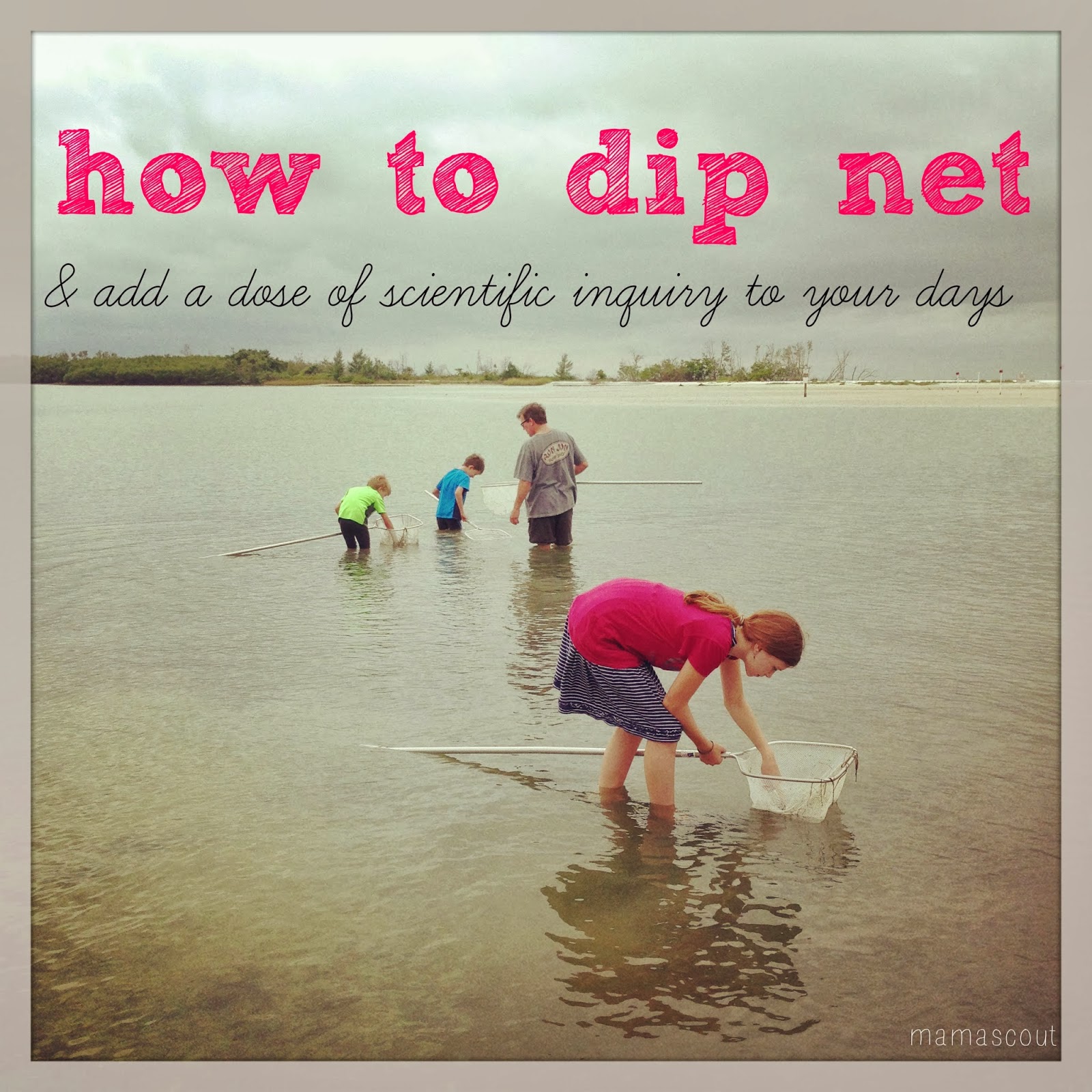 mamascout {how to} dip net