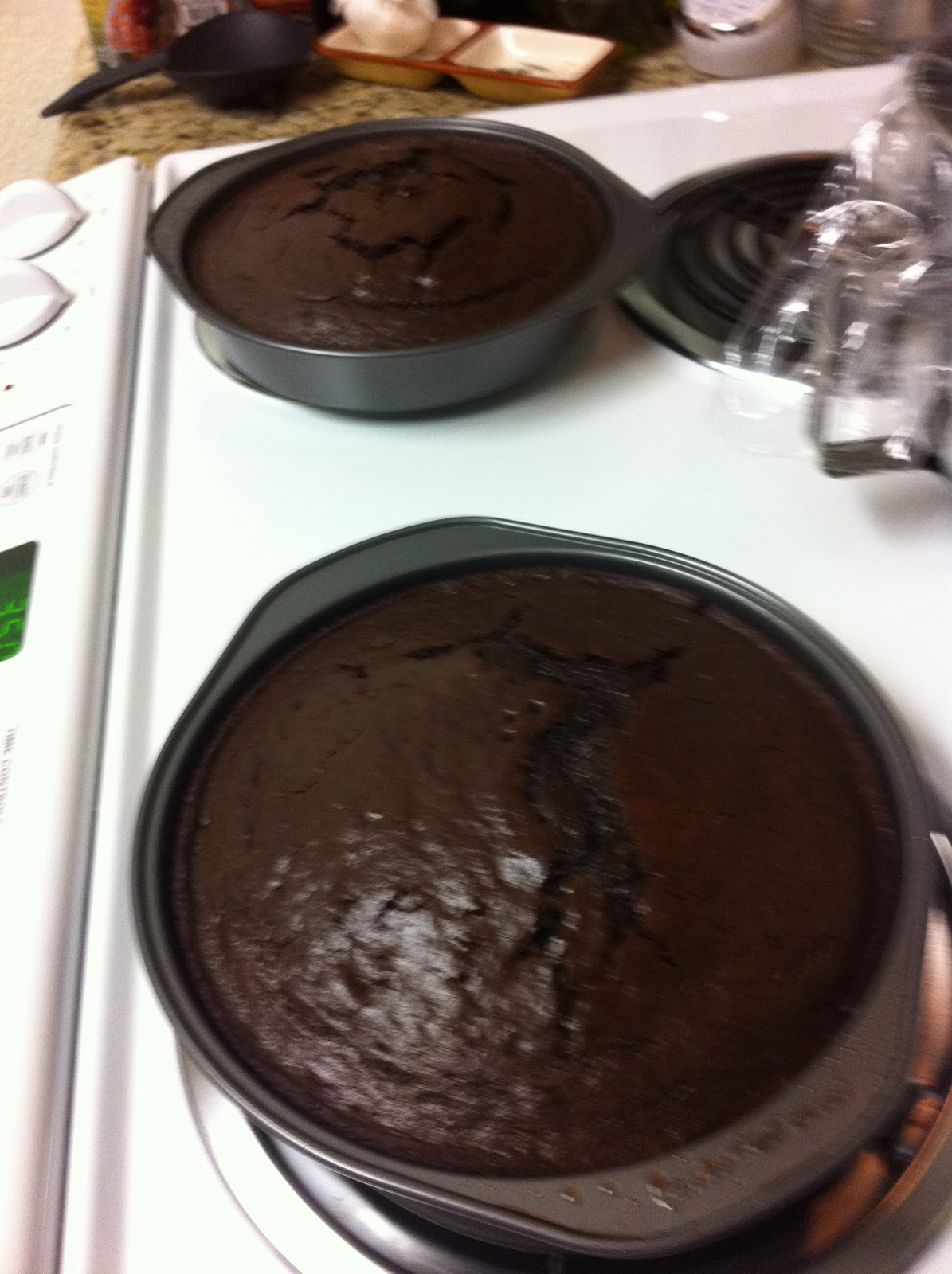 Stracciatella Double Layer Chocolate Cake with Blackberry Jam Filling