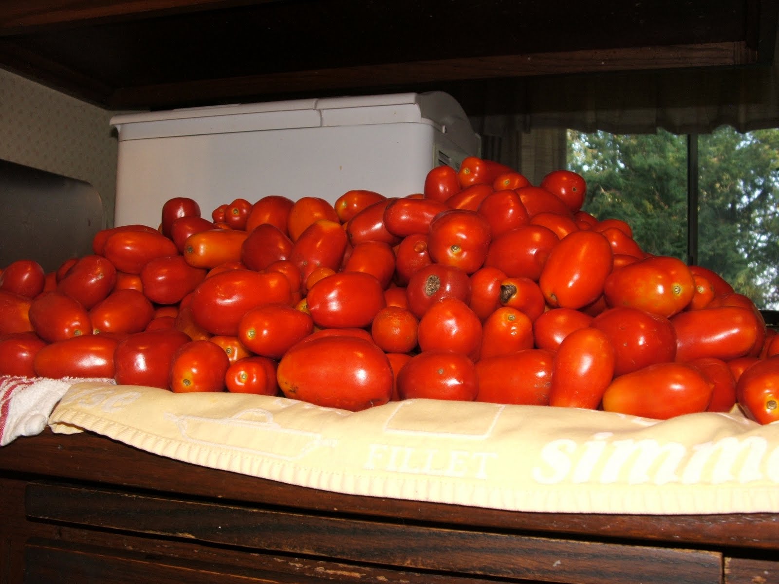 God's Growing Garden Tomato Mountain