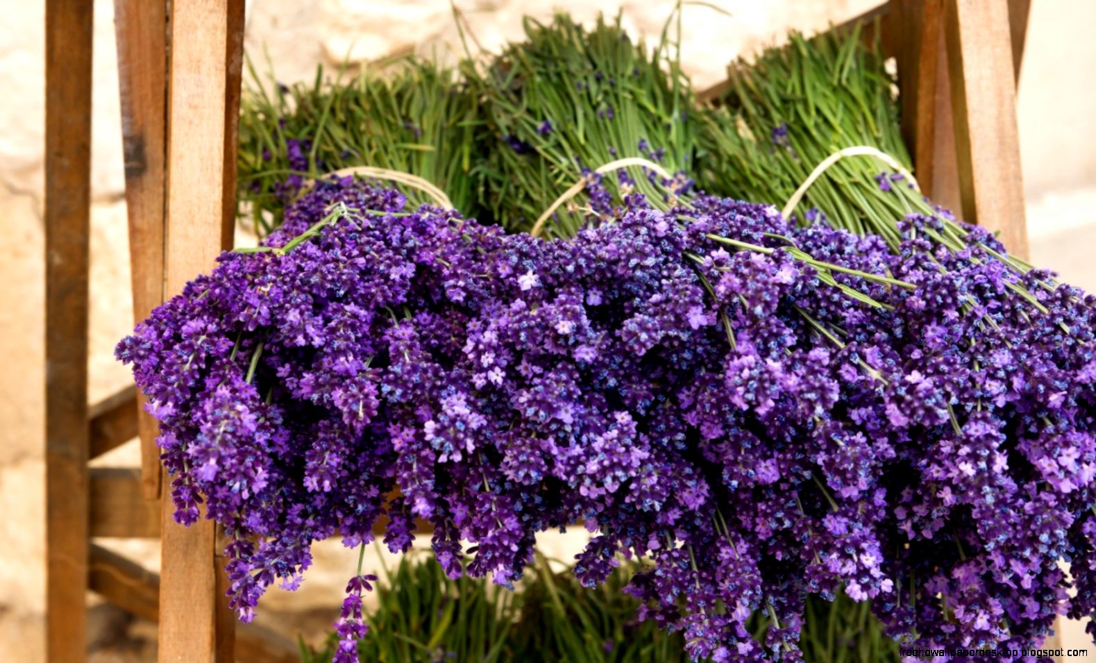 Flowers Lavender Bouquets HD Wallpaper   FreeWallsUp Flowers Lavender Bouquets HD Wallpaper   FreeWallsUp