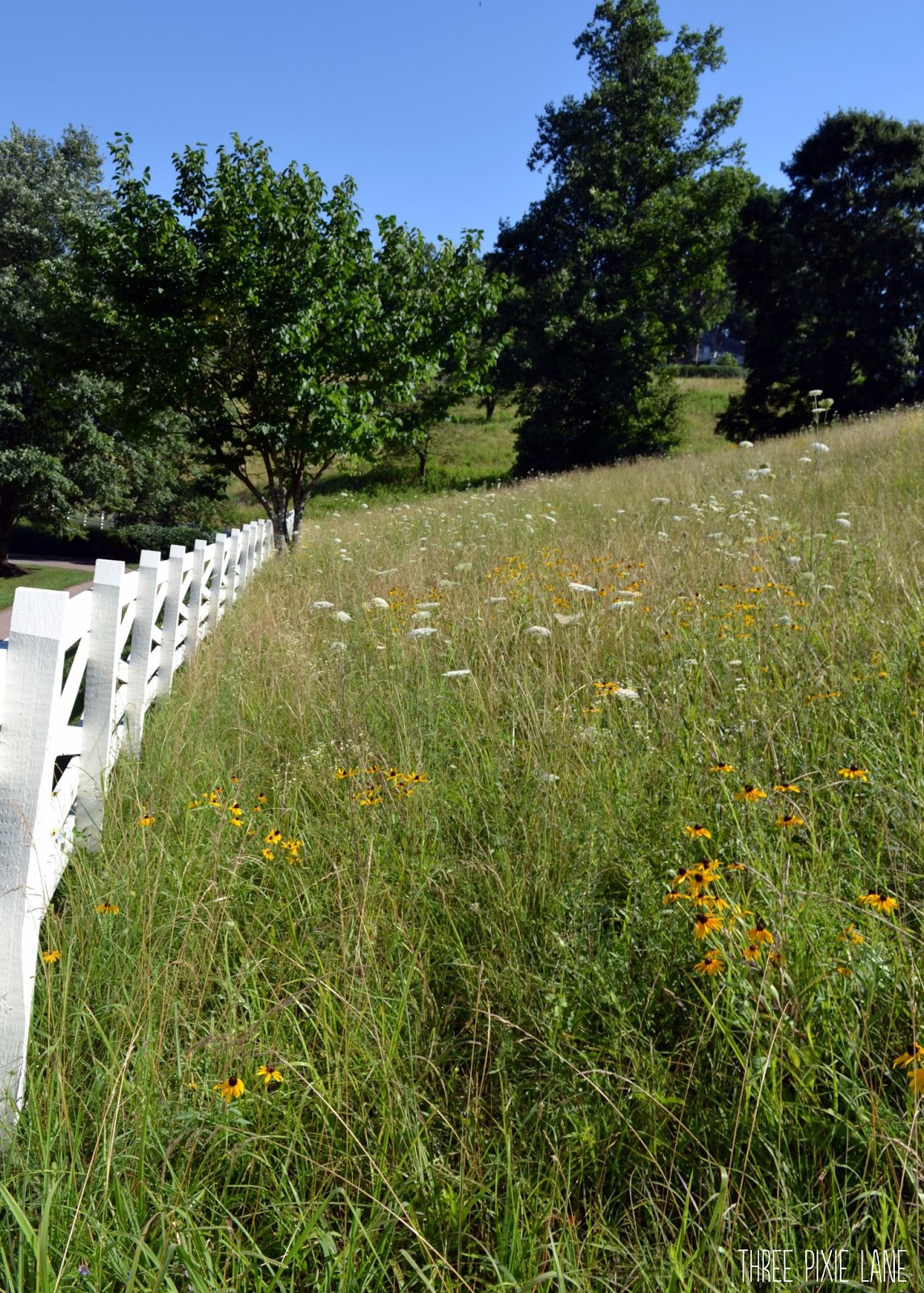 Three Pixie Lane Blackberry Farm (Top Ten Things to Do)